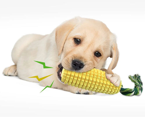 Dog Chew Toys for Aggressive Chewers, Indestructible Tough Durable Squeak